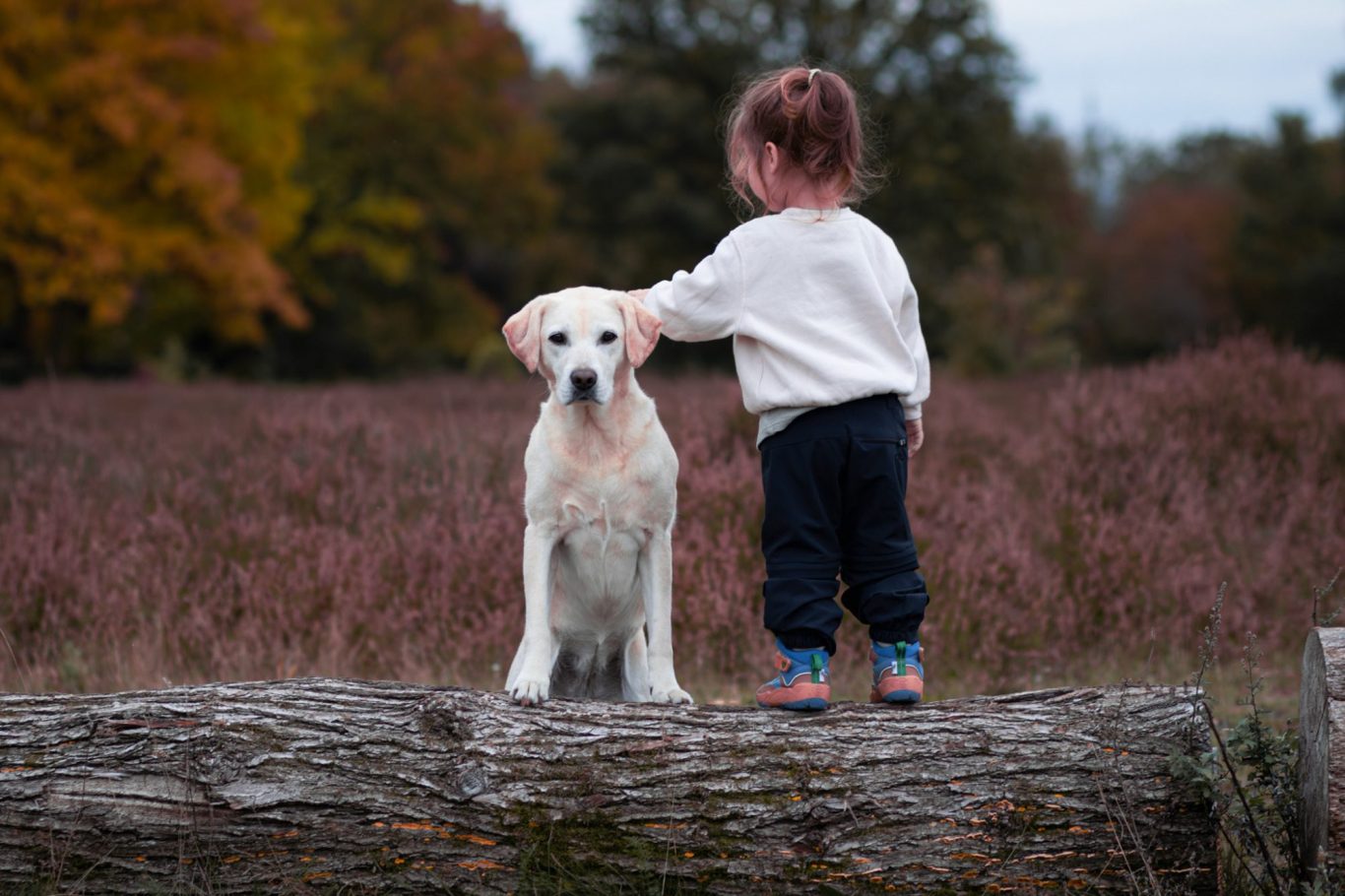 Familienfotoshooting Friedrichsdorf